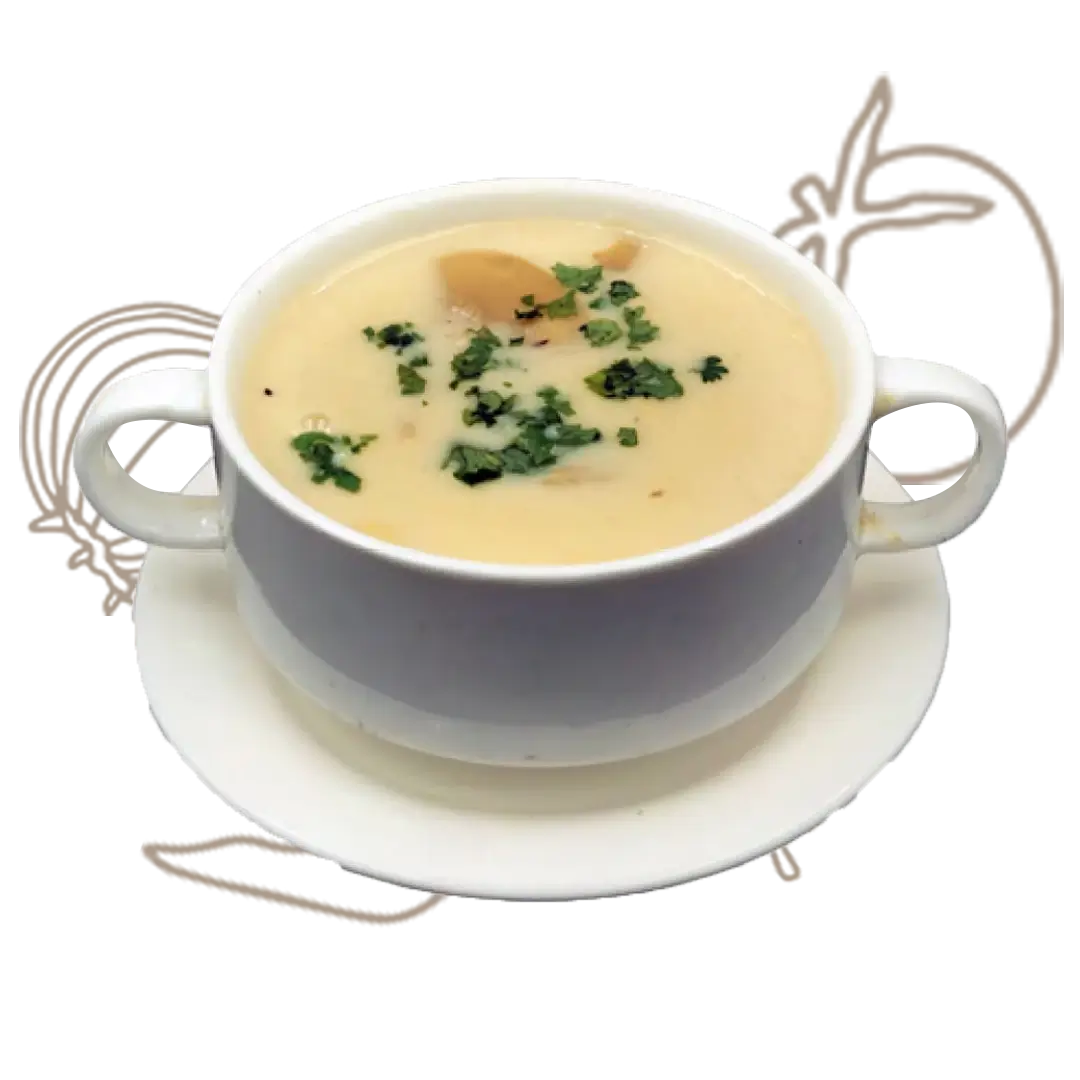 Chicken Soup